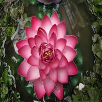 Colore / Red Whit // fiore di ninfea Bowl-Pond Lotus semi giardino decorazione piante 10pcs F134