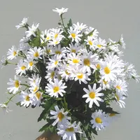 margherita artificiale alto 14 pollici in carta bianca carino 24 fioriture * 1.5''bloom diametro finto fiore di seta per la casa giardino buoquets decorazioni evento