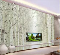 Wit Birch Forest Landschap Foto TV Muurschilderingen Muurschildering 3D Wallpaper 3D Muurdocumenten voor TV-achtergrond
