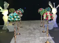 Le piédestal en métal de nouvelle arrivée se tient pour des fleurs / le plancher en métal le support de vase / la passerelle en métal de trompette représente le mariage