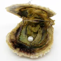 Wholesale天然赤屋ソルトオイスターパール、真珠、真珠（無断丸パール）6-7mm19＃ナチュラルホワイト