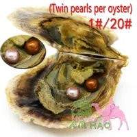 Tvillingar Oyster Vacuum Pack 6-7Mmaaaa Round Pearl Oyster Färgad Edison Freshwater Pearls Vackert presenterad i Oyster Shell