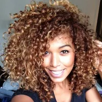 100% helt ny högkvalitativ modebild full spetsar Wigsshaggy Afro Curly Brown Blandade Capless Vogue Kvinnor Värmebeständigt Fiber Wig Hair