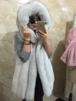 Våren Nya Kvinnor Hooded Fur Coat Silver Fox Imitation Fur Vest Plus Size Ladies Fox Fur Coat