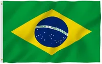 3x5 قدم البرازيل العلم راية - (جهين مزدوج) لون حية ومقاوم للتلاشي للأشعة فوق البنفسجية - 100٪ البوليستر أعلام الوطنية البرازيلية مع النحاس جروم