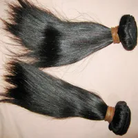 Dhgate Factory 8A Virgin Rechte Maleisische Raw Hair Weave Inslag Betaalbare prijs 200g / lot FedEx Express Shipping
