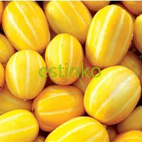 Gelbe Muskmelonsamen 10pcs / Tasche Süße Melone Fruchtsamen Honig Melone Home Gartenpflanzen Bonsai DIY Freies Verschiffen