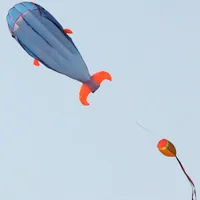 Enorma 3D-parfoil Dolphin Kite Kids Outdoor Fun Sport Square Beach Flying Toy Cute Dolphin Kite Lätt att flyga 200x73cm