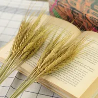 15pcs/bunch Natural Wheat Flower 2018 New Real wheat Dried flowers original Ecological photography props wheat Wholesale