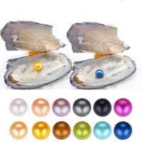 2018 Nueva ostra perla de 6-8m m 25 Mezcla del color de agua dulce regalo Natural perla DIY decoraciones de joyería vacío Envasado al por mayor libre del envío
