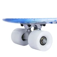 22 pollici Dolphin Pattern a quattro ruote lunghe Skateboard-PP Plasty Board-Deck personalizzabile PP Skate Board Plastic-skateboard