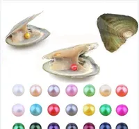Fancy Gift Akoya pearl High quality cheap love freshwater shell pearl oyster 6-7mm pearl oyster with vacuum packaging 31colors