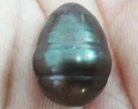 Pearl JewelryHute12x18.5mm Real Tahitian Dark Black Losse Pearl Undrilded 3Pieces / Lot