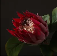 3pcs Vacker konstgjorda Afrika Protea Cynaroides Silk Blommor Grenar För Höst Hem Bröllop Dekoration Kransar Växter Blommor