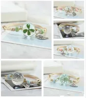 Fiori secchi Piante esemplari Charms Bracciale Glass Ball Dandelion Gown Fidanzata Girlfriend Gift Mix Ordine 20 Pezzi A Lot Charm Bracelets