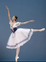 Klasik Puf Kol Uzun Tutu Bale Kostüm Kraliyet Mavi Bale Leotards Kadınlar için Balerin Giyim Kız Balerin Elbise Çocuklar