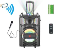 TS-90110BL Pro 10 "Party DJ Karaoké Enceinte de Sono Portable Bluetooth Rechargeable USB AUX FM