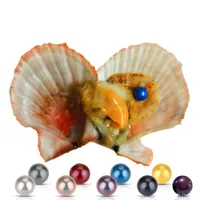 freies Verschiffen! 2018 Großhandel 25 Farben runden Südseeperlen Austern 6-7mm einzeln verpackt /, große Party Geschenk rot Shell Muschel