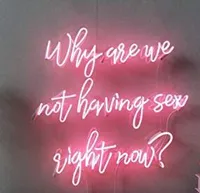 Why Are We Not Having Sex Right Now Neon Light Sign Home Beer Bar Pub Recreation Room Game Lights Windows Glass Wall Signs 24*20 inches