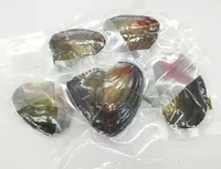 1PCS Vacuum Packaging 6-7mm 4A Rice Grain Natural Freshwater Pearl Oyster, buy! ! Random give pearl cage gift