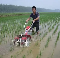 Macchine agricola di vendita calda 2rows riso weedrer paddy weeding machine mini weeder macchina riso campo campo di diserbo