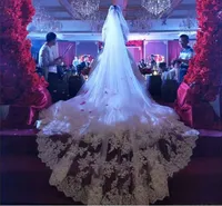 Applique Lace Edge Long Wedding Véils Duas camadas Véu de noiva Acessórios de noiva com pente