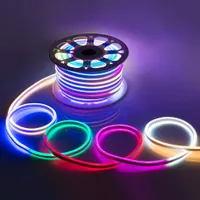 AC 110-240V flessibile RGB LED luce al neon striscia IP65 multi colore che cambia 120 LED / m LED luce della corda esterna + telecomando + spina di alimentazione