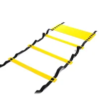 Durable 6 Meters 12 Sections Agility Ladder per Calcio Calcio Equipaggiamento per l'allenamento della velocità Attrezzature per il fitness Outdoor Speed ​​Speed