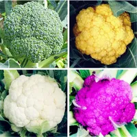 50 Pcs/Bag Cauliflower (Broccoli) Seeds Green Cauliflower Organic Health Vegetables Plant For Home & Garden Easy To Plant