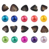 Wholesale 2018 Natural Pearl 6-7MM Round Pearl in Oysters Akoya Oyster Shell with Colouful Pearls Jewelry By Vacuum Packed For Gift Surprise