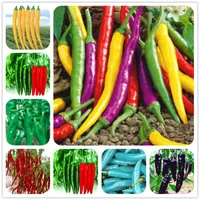 Sale! 100 PCS Pepper seeds 6 Color mixed Yellow Purple Red Green Blue White Mix Sweet Bell Hot Pepper Seeds vegetables Paprika