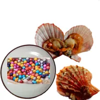 30pc of Mix 25 컬러 단일 개별 진공 패키지 6-7mm 바닷물 빨간색 쉘 라운드 Akoya Pearl Oyster Wholesale