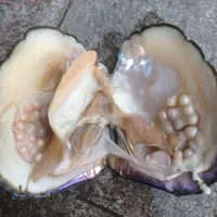 2018 partij plezier zoetwater parels shells vacuüm verpakking echte natuurlijke parel oesters grote monster oesters cadeau BP011