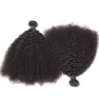 Brasilianska Afro Kinky Curly Human Hair Buntar Obehandlat Remy Hair Weaves Double Wefts 100g / Bundle 2BUNDLE / LOT Hårförlängningar