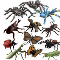 12 adet / takım Simülasyon hayvan figürleri böcekler Arı web örümcek kelebek gergedan böceği uğur böceği çekirge modeli çocuk oyuncakları hediye