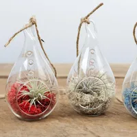 Teardrop Glass Hanging Plant Terrarium Clear Glass balls Container Glass Candle Holder for Home Decoration Wedding Decoration