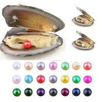 25pcs Eau douce 6-8 mm ronde Akoya Pearls Oyster 27 Couleurs mélangées de qualité d'huîls de qualité naturelle