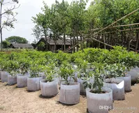 10 maten optie Niet-geweven stof Herbruikbare zachtzijdige zeer potten ademende groei tas potten planten tassen met handgrepen grote bloem planter