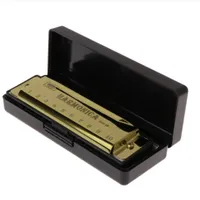New Arrival 10 Holes Key of C Blues Harmonica Musical Instrument Educational Toy with Case