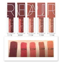 Popularne 5 kolorów Pudaier Sexy Lipgloss Dynia Kolor Serii Ciecz Wodoodporna Długotrwały Matowy Makijaż Makeup Zestaw Nude Brown