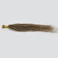 未処理のブラジルの髪のキンキーの巻き毛の毛髪のための編組100gのための100gの毛髪の髪の髪の髪の毛髪のバルク