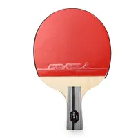 BOER extérieur 1 étoile tennis de table de ping-pong en caoutchouc Racket Paddle avec le sac Stockage
