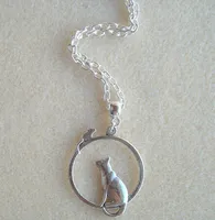 Nova moda declaração colar de prata do vintage rato gato charme proteção pingente de colar de jóias mulheres presente dos homens - 35