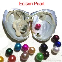 Dev 9-12mm renkli Edison İnci Büyük Büyük Dev Yuvarlak Sınıf Doğal İnciler Vakum Paketleme Diy Takı ile Oyster Doğal İnciler