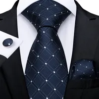 Snabb leverans Tie Set Fashion Blue White Check Dot Mäns Silk Jacquard Woven Slips Ficka Square Manschettknappar Bröllop Business N-7217
