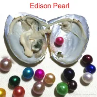 DIY NYA 9-12mm Färgglada nära Round Edison Pearls i sötvatten Oyster Shell Jewelry Suprise Festival Gift Vakuumpaket