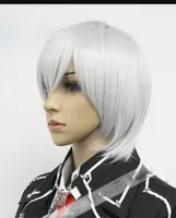 PERUK LL SıCAK Ücretsiz Nakliye Yeni peruk Cosplay Vampire Knight Takuma Ichijo kısa Gümüş Beyaz isı Peruk