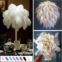 15-20 cm hermosas plumas de avestruz económicas para la joyería del arte de DIY que hace del banquete de boda de decoración de boda Decoración GB834