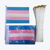 Gay Pride Flag 14 * 21cm Plastic Flagpole Creatieve Idee Regenboog Banner Polyester Doek Vlaggen Waving Factory Direct Selling 0 21HT P1