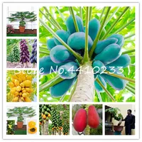 100 Pcs/Bag True Papaya Bonsai plant seeds Outdoor Tree Organic Sweet Papaya Bonsai For Garden Vegetable * Fruit Tropic Plants Sementes